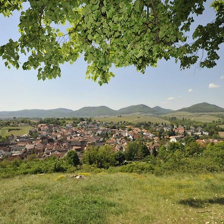 Hotel Wein-Domizil Brennofen Ilbesheim bei Landau in der Pfalz Exterior foto