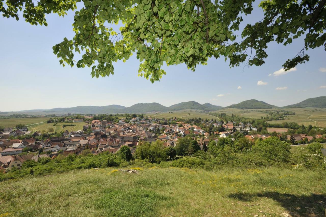 Hotel Wein-Domizil Brennofen Ilbesheim bei Landau in der Pfalz Exterior foto